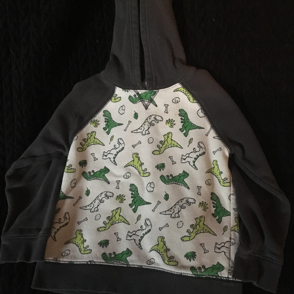 Dino hoodie